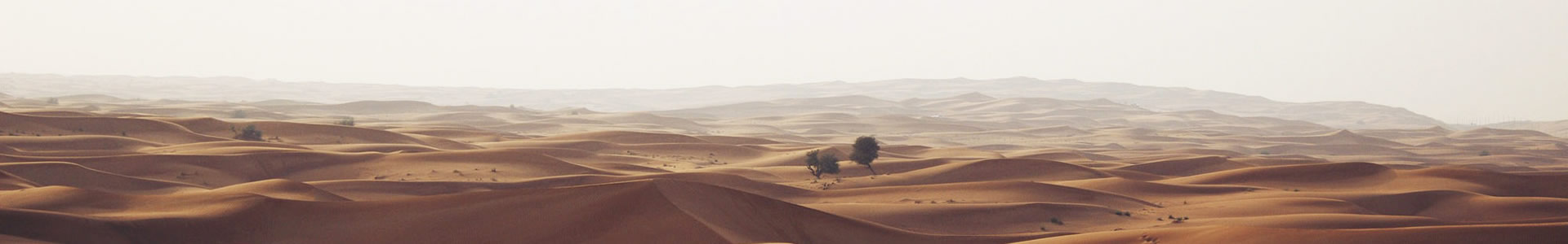 ӱ޹ܵ޹˾